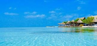 isla-tintipan-precios