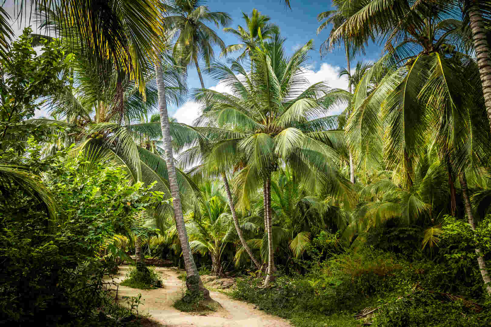 hospedaje-isla-mucura